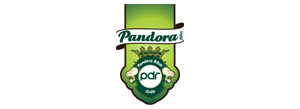 Pandora