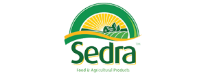 Sedra